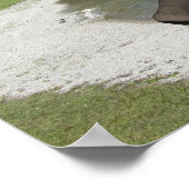 ゾウの腹が張る ポスター (角)