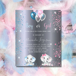 ゾウの銀予算の招待を性別で明らかにする チラシ