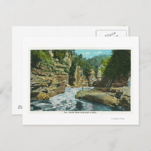 ゾウの頭の近くの使用可能な裂け目 ポストカード (正面/裏面)