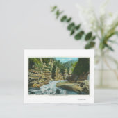 ゾウの頭の近くの使用可能な裂け目 ポストカード (スタンド正面)