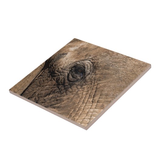ゾウの顔 タイル (側面)