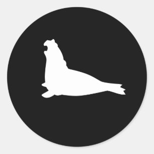 ゾウアザラシのステッカーの白 ラウンドシール