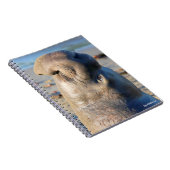 ゾウアザラシの雄牛 ノートブック (右側)