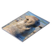 ゾウアザラシの雄牛 ノートブック (左側)