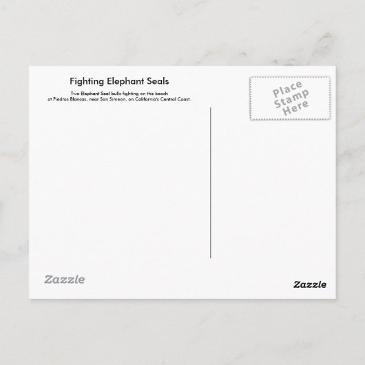 ゾウアザラシ戦闘用はがき ポストカード (裏面)