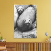 ゾウアザラシ キャンバスプリント (インサイチュ (リビング))