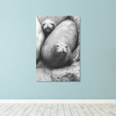 ゾウアザラシ キャンバスプリント (インサイチュ (ウッドフロア))