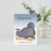 ゾウアザラシ ポストカード (スタンド正面)