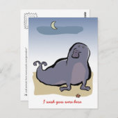 ゾウアザラシ ポストカード (正面/裏面)