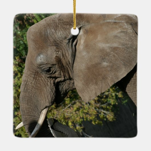 ゾウオーナメント セラミックオーナメント (裏面)