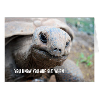 ゾウガメの記憶経過