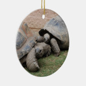 ゾウガメ セラミックオーナメント (右)