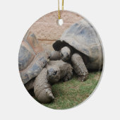 ゾウガメ セラミックオーナメント (左)