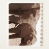 ゾウズオブチョベプランナー プランナー手帳 (裏面)