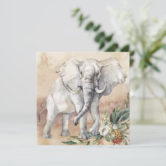 ゾウフローラカード (スタンド正面)