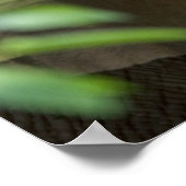 ゾウプリント ポスター (角)