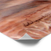 ゾウプリント ポスター (角)