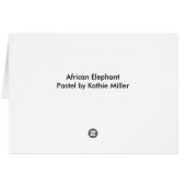 ゾウポートレート (裏面横)