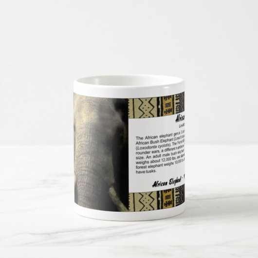 ゾウポートレート コーヒーマグカップ (中央)