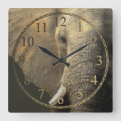 ゾウポートレート スクエア壁時計 (正面)