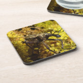 ゾウムシのコースター コースター (左側)