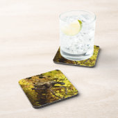 ゾウムシのコースター コースター (右側)