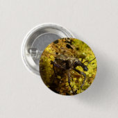 ゾウムシのバッジ 缶バッジ (正面&裏面)