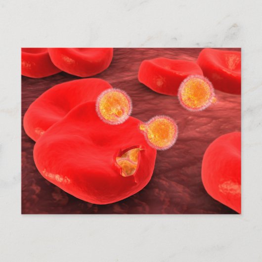 ゾウリムシ2の概念像 ポストカード (正面)