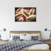 ゾウリムシ2の顕微鏡的見解 キャンバスプリント (インサイチュ (寝室))