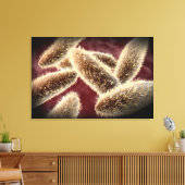 ゾウリムシ2の顕微鏡的見解 キャンバスプリント (インサイチュ (リビング))