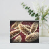 ゾウリムシ2の顕微鏡的見解 ポストカード (スタンド正面)