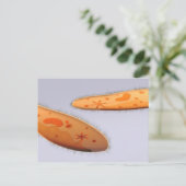 ゾウリムシ4の顕微鏡観察 ポストカード (スタンド正面)