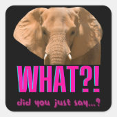 ゾウ今何て言った? スクエアシール (正面)