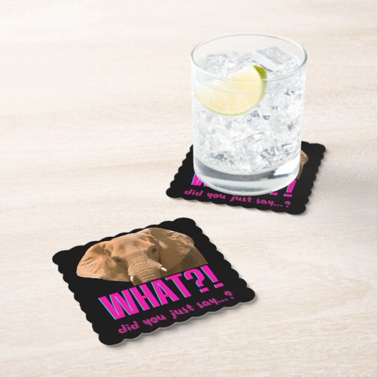 ゾウ今何て言った？ ペーパーコースター (インサイチュ)