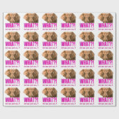 ゾウ今何て言った？ ラッピングペーパー (フラット)