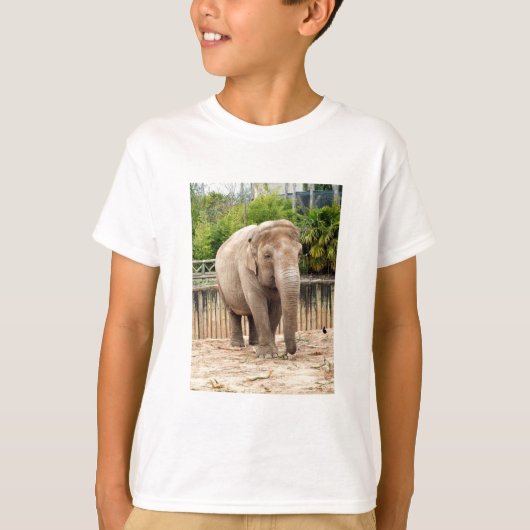 ゾウ動物 Tシャツ (正面)