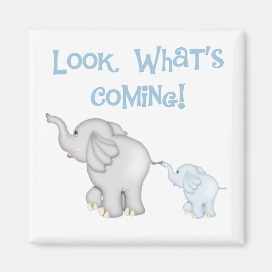 ゾウ妊娠 マグネット (正面)