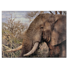 ゾウ愛好家アート カッティングボード