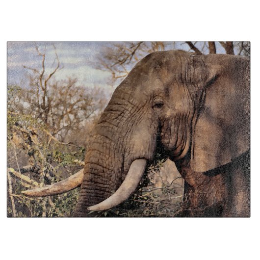 ゾウ愛好家アート カッティングボード (正面)