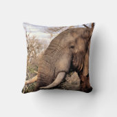 ゾウ愛好家アート クッション (裏面)