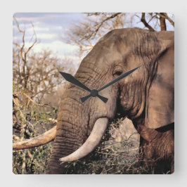 ゾウ愛好家アート スクエア壁時計