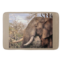 ゾウ愛好家アート