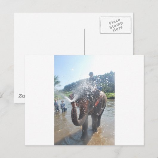 ゾウ散布水 ポストカード (正面/裏面)