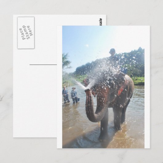 ゾウ散布水 ポストカード (正面/裏面)