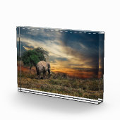 ゾウ歩くアットサンセット フォトブロック (右)