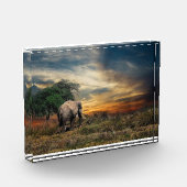 ゾウ歩くアットサンセット フォトブロック (左)