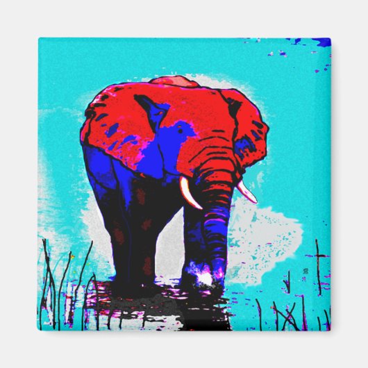 ゾウ磁石 マグネット (正面)