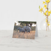 ゾウ科 カード (黄色い花)