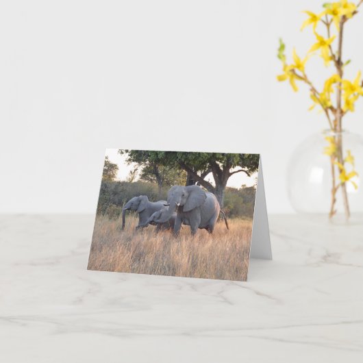 ゾウ科 カード (黄色い花)