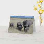 ゾウ科 カード (黄色い花)